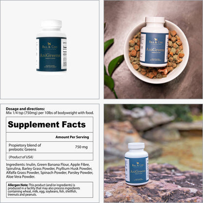 bill and coo anigreens quatratisch